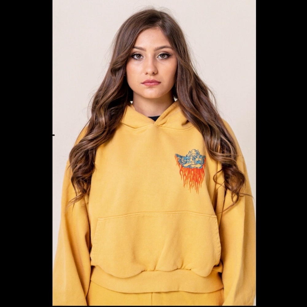 Boys Lie  “Ask Me If I Care” Cropped Hoodie